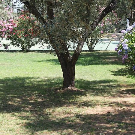 Domaine Le Clos Des Oliviers Sorbo-Ocagnano エクステリア 写真