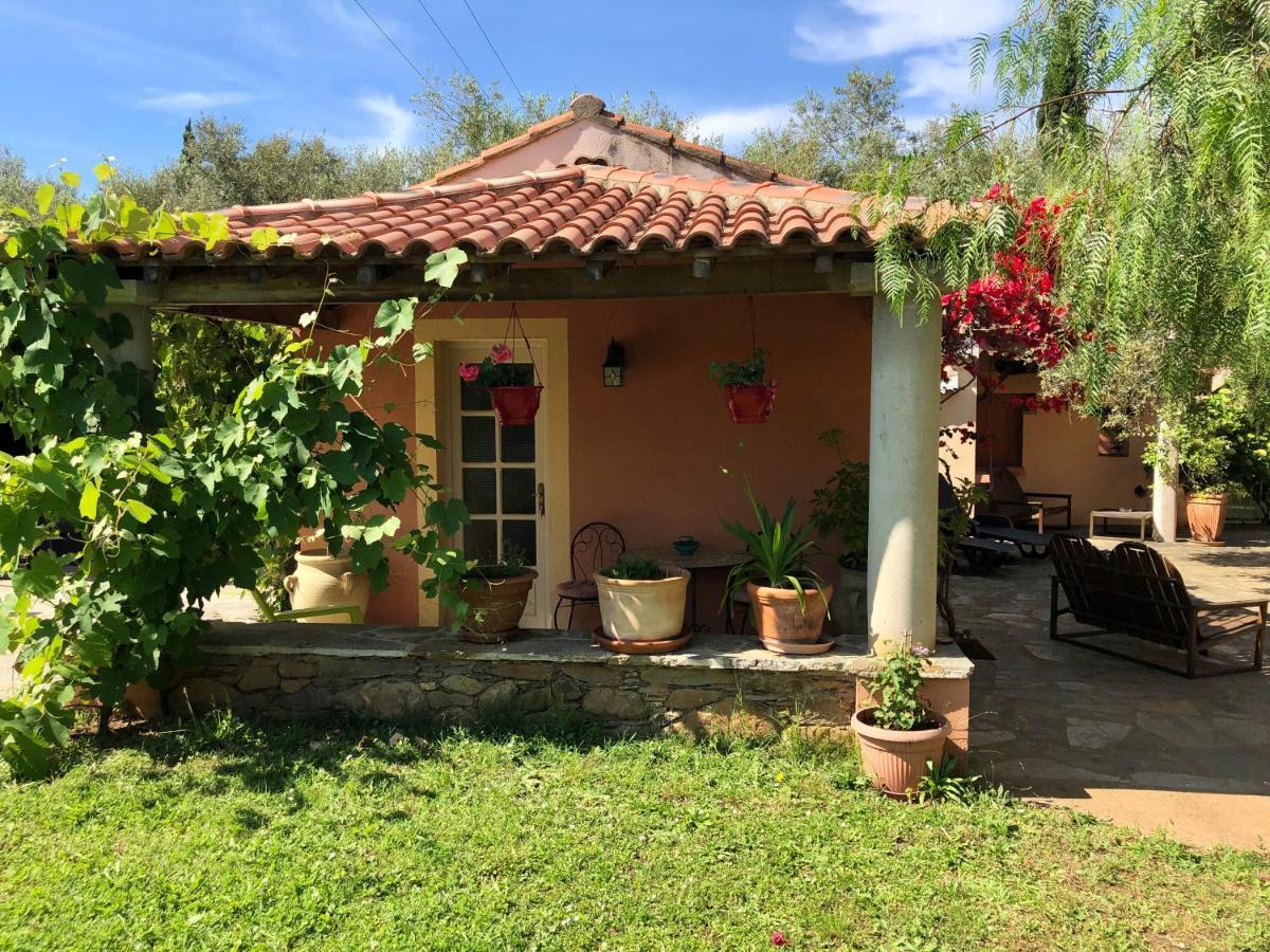 Domaine Le Clos Des Oliviers Sorbo-Ocagnano エクステリア 写真