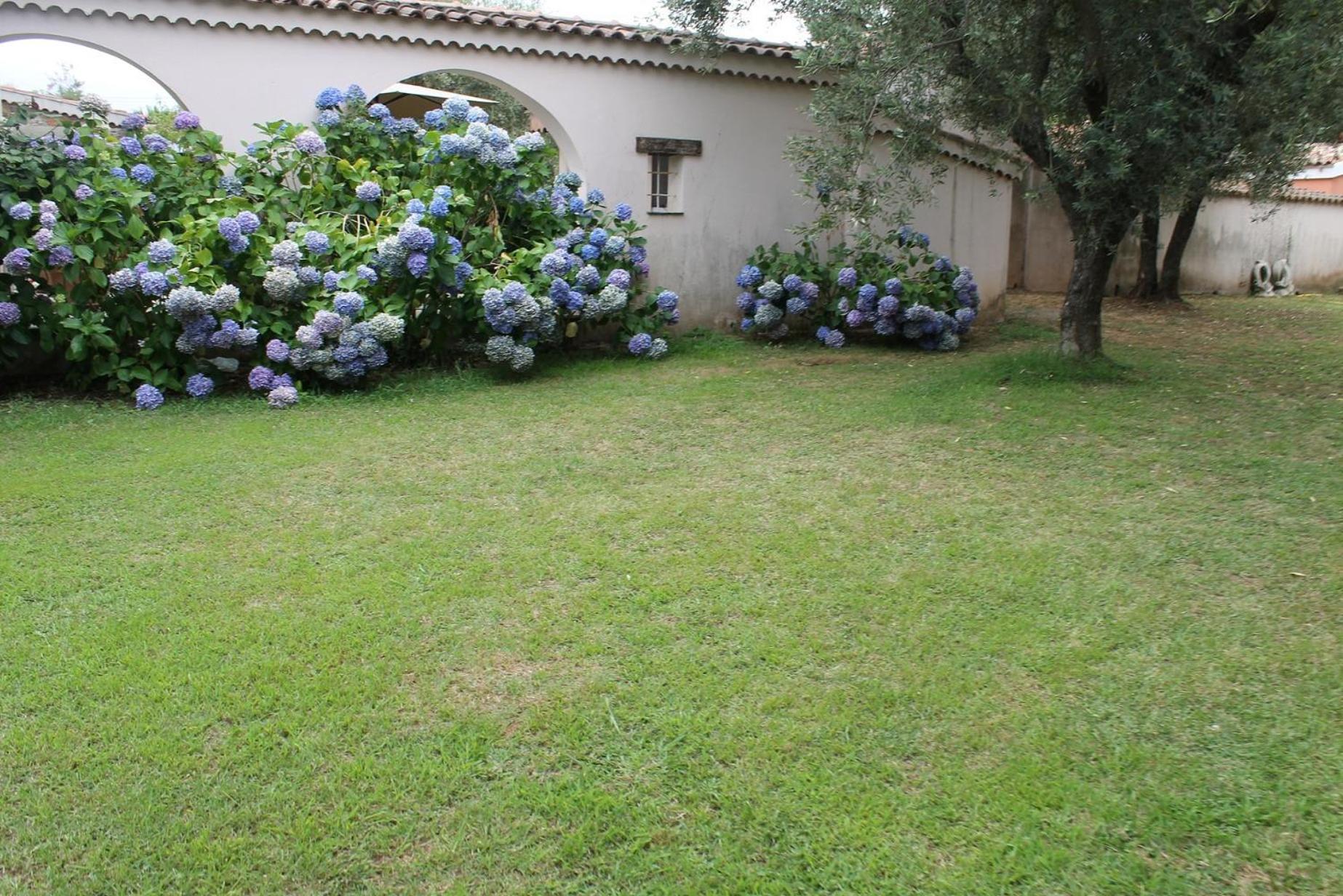 Domaine Le Clos Des Oliviers Sorbo-Ocagnano エクステリア 写真