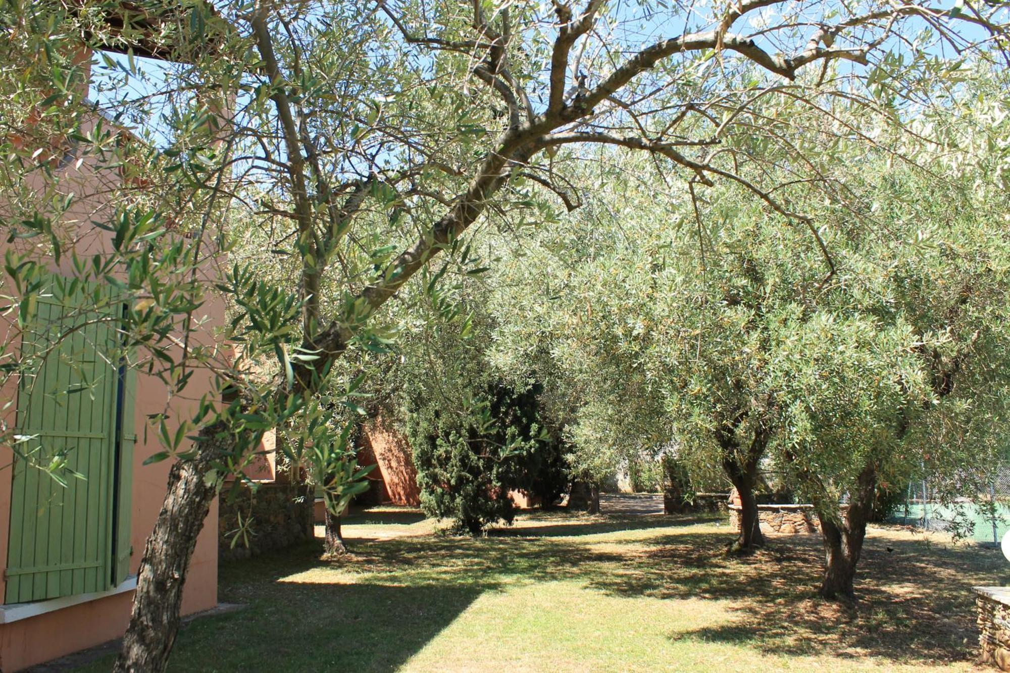 Domaine Le Clos Des Oliviers Sorbo-Ocagnano エクステリア 写真
