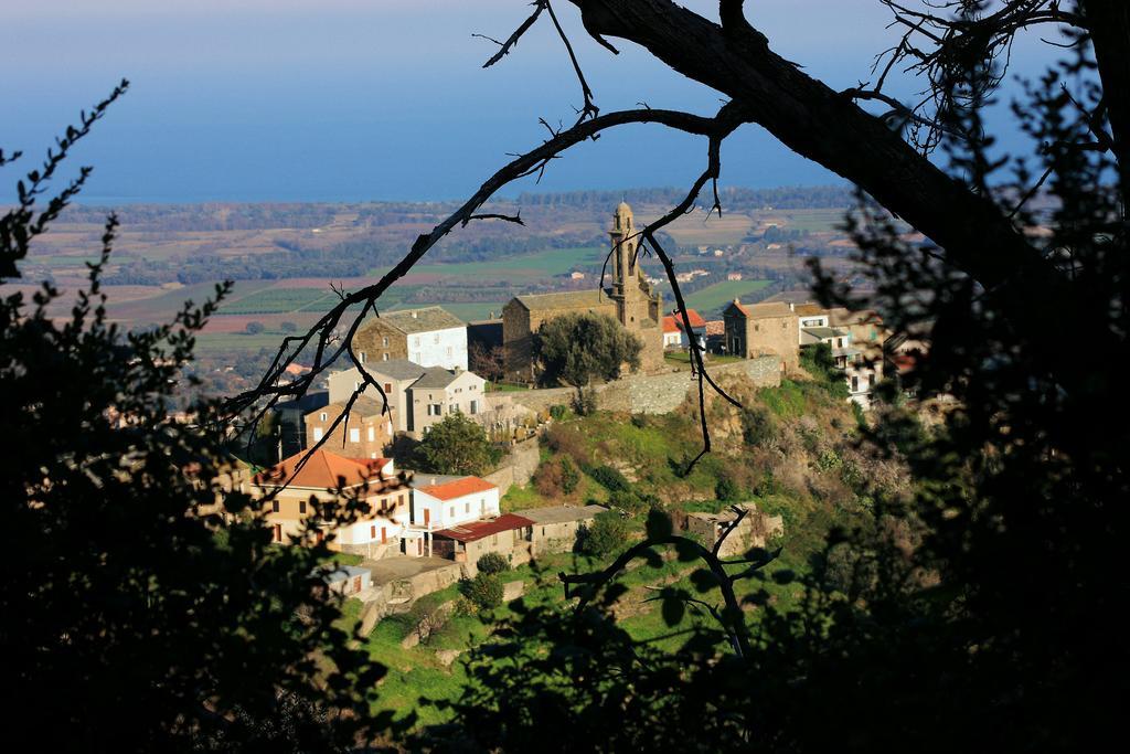 Domaine Le Clos Des Oliviers Sorbo-Ocagnano エクステリア 写真