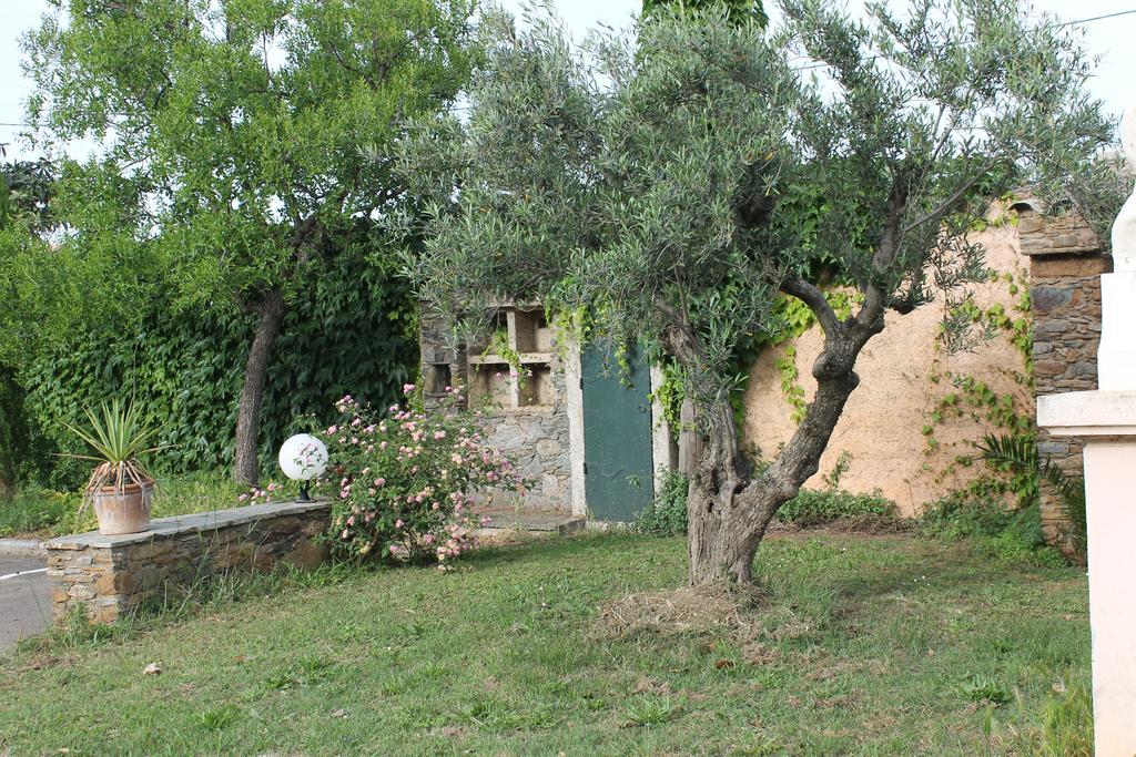 Domaine Le Clos Des Oliviers Sorbo-Ocagnano エクステリア 写真
