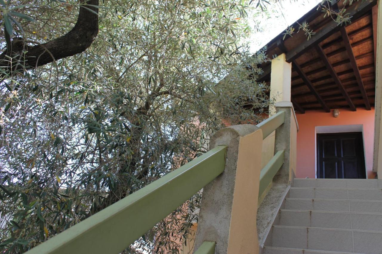 Domaine Le Clos Des Oliviers Sorbo-Ocagnano エクステリア 写真
